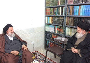 دیدار معظم له با حضرت آیة الله حاج سید احمد مددی دامت‌ برکاته